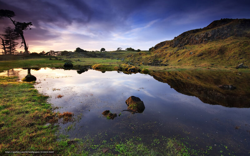 Pond Reflecting Sky — Blue