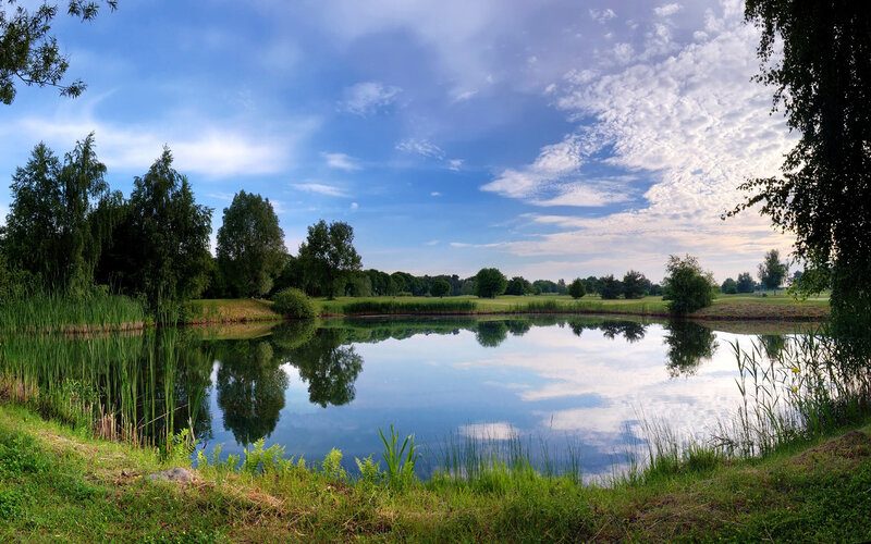 Pond Reflecting Sky