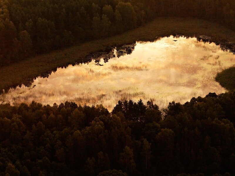 Pond Reflecting Sunset — Gold, Serene, Photograph