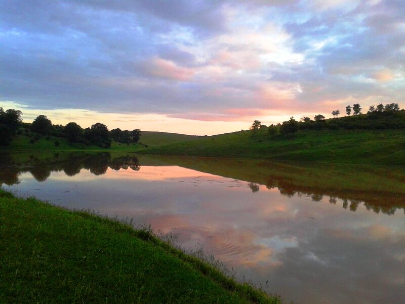 Pond Reflecting Sunset — Green