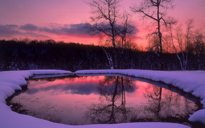 Pond Reflecting Sunset — Pink