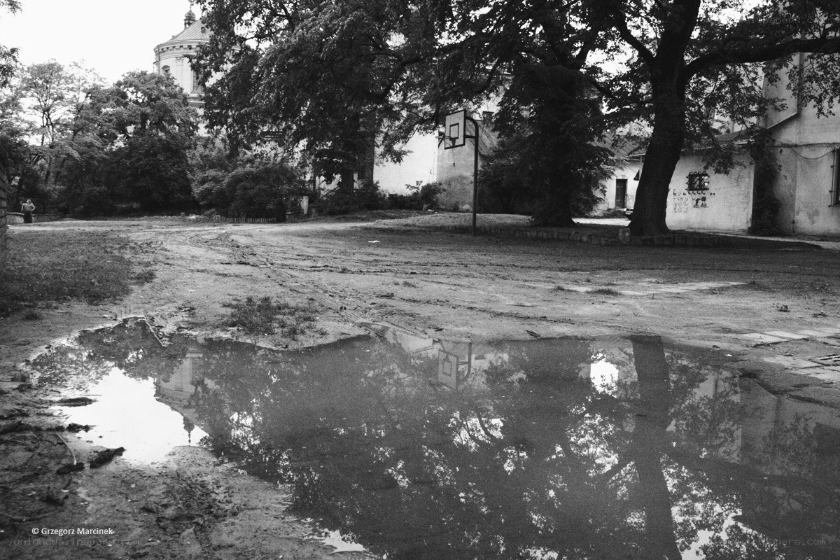 Pond reflecting trees and buildings