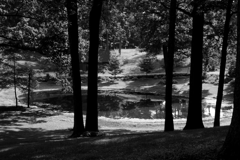 Pond Surrounded by Trees — Black