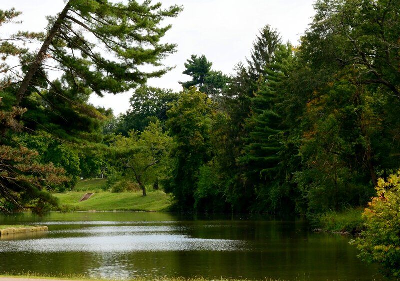 Pond Surrounded by Trees — Green, Serene, Summer, Photograph, Grass