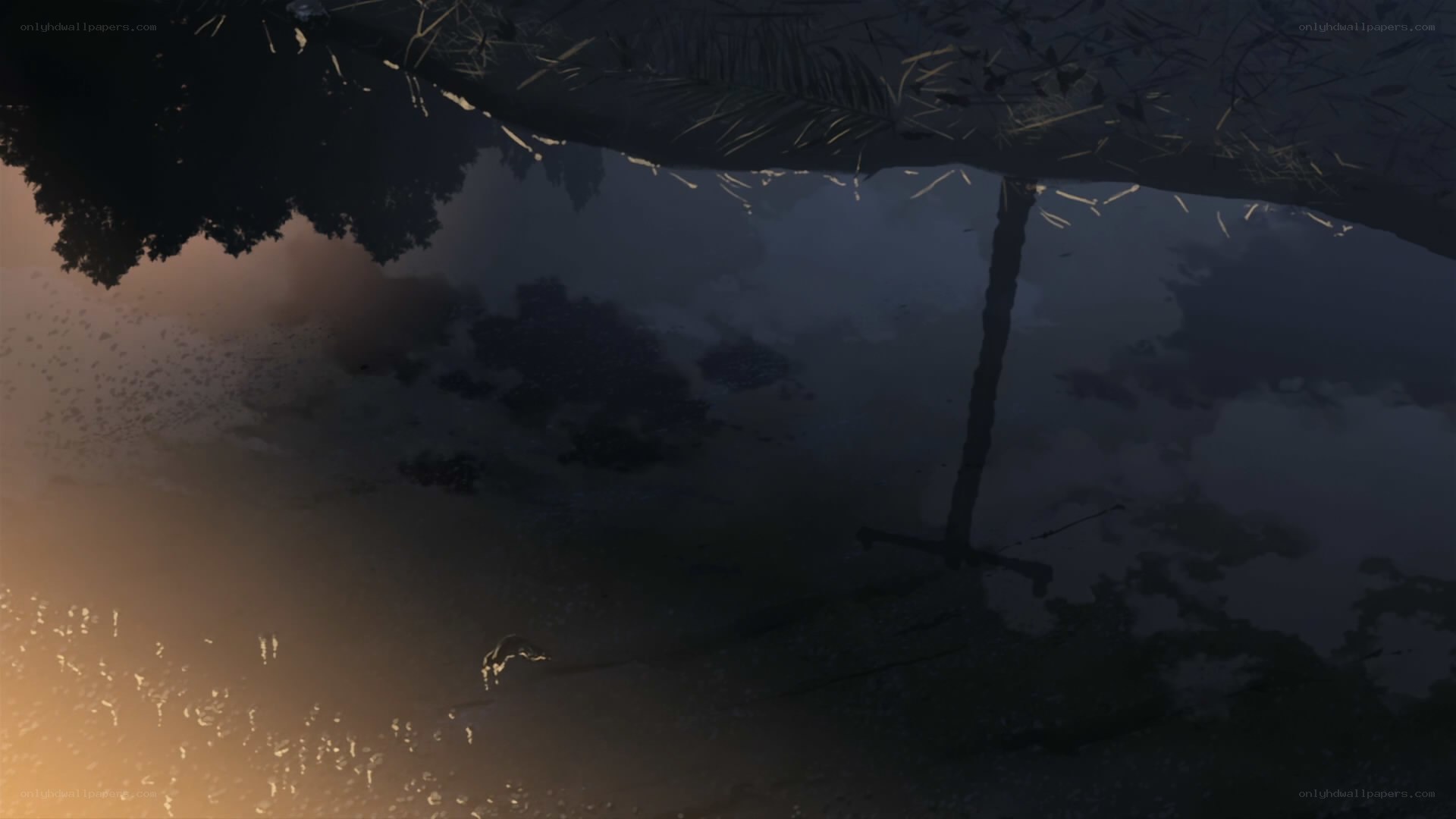 Pond under a thatched roof