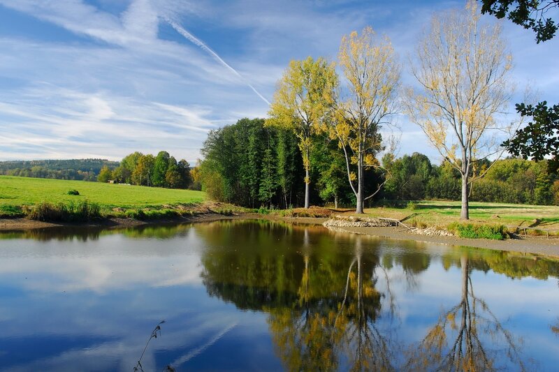 Pond with Autumn Trees — Blue