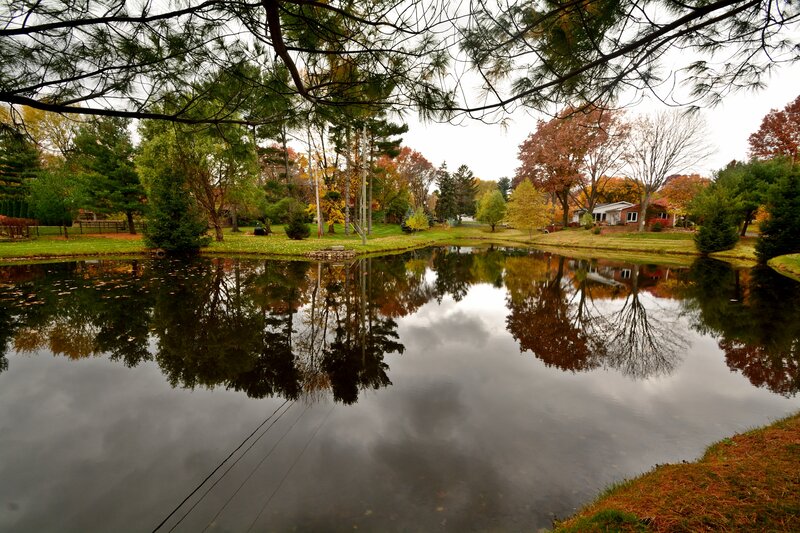 Pond with Autumn Trees — Green, Serene