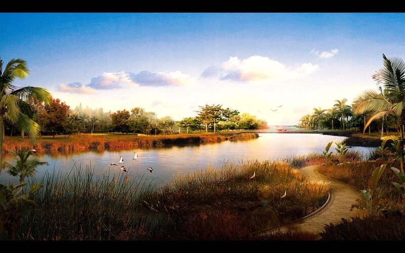 Pond with Birds and Path
