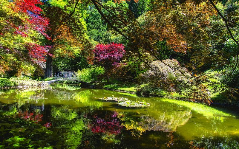 Pond with Bridge and Trees — Green