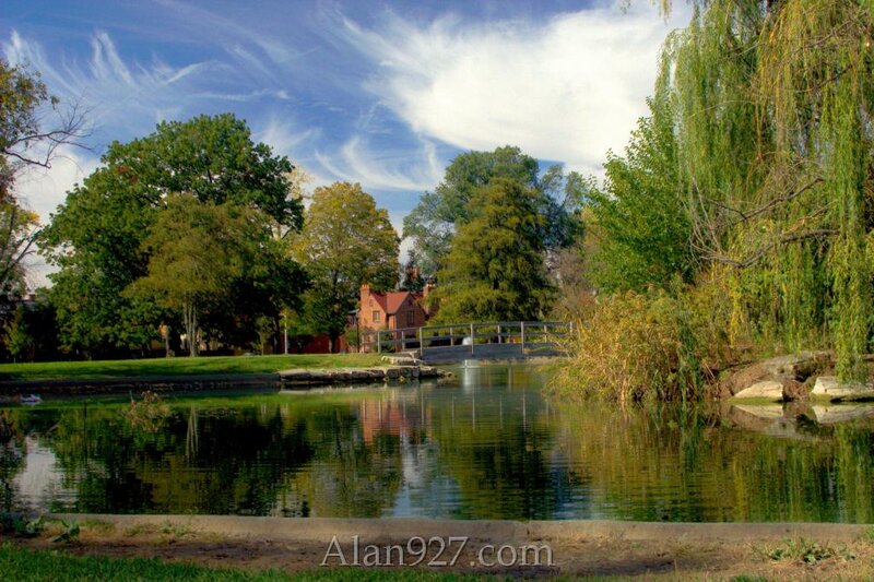 Pond with Bridge and Trees