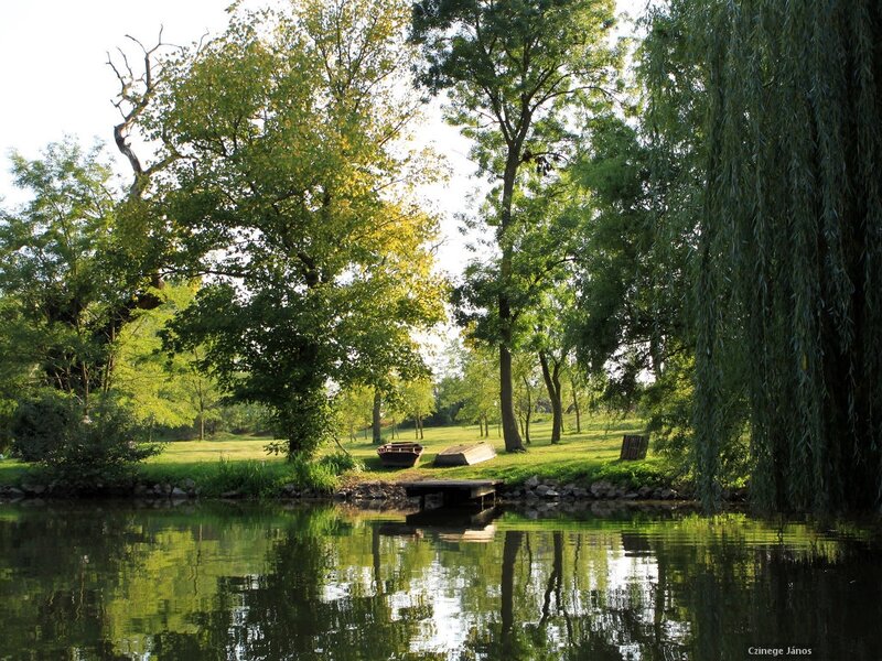 Pond with Dock and Boats