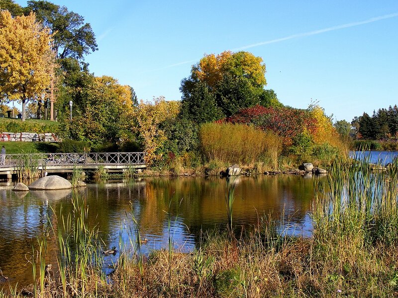 Pond with Ducks and Bridge