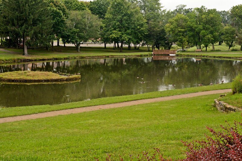 Pond with Ducks — Green, Serene, Afternoon