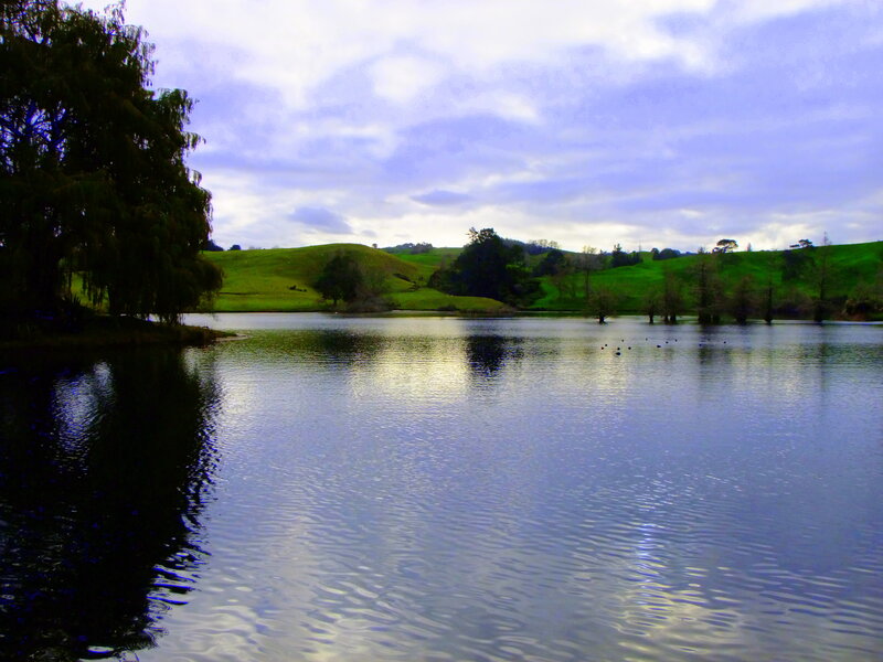 Pond with Ducks — Green