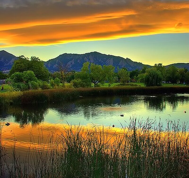 Pond with Ducks — Orange