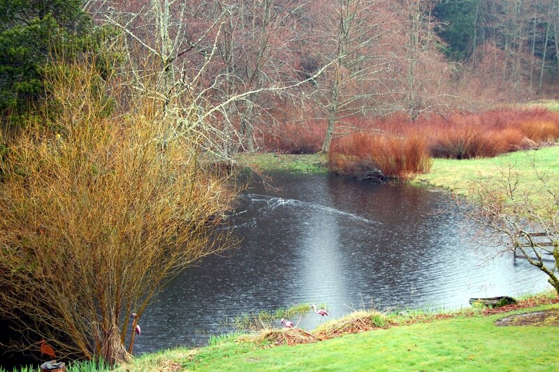 Pond with flamingo sculptures