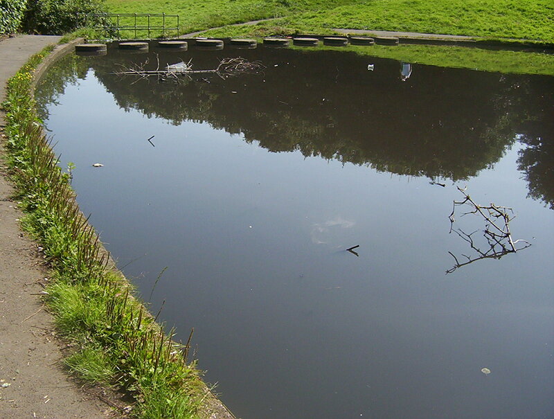 Pond with Floating Debris