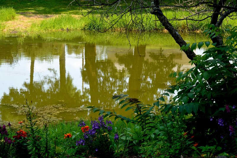 Pond with Flowers