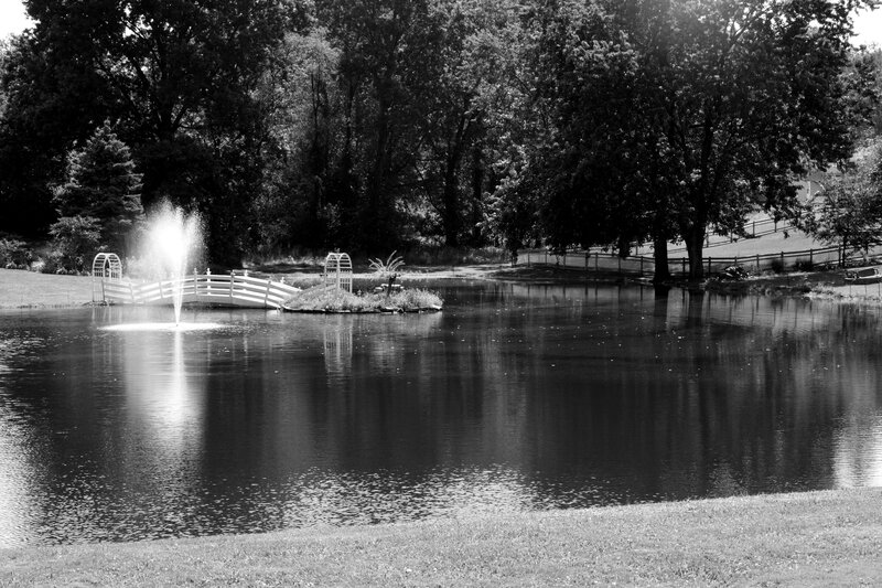 Pond with Fountain and Bridge — Black