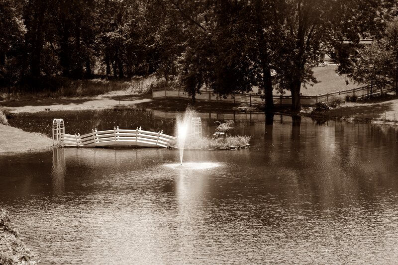 Pond with Fountain and Bridge — Brown