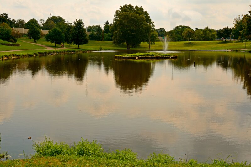 Pond with Fountain — Green, Serene, Afternoon, Photograph, Trees, Grass