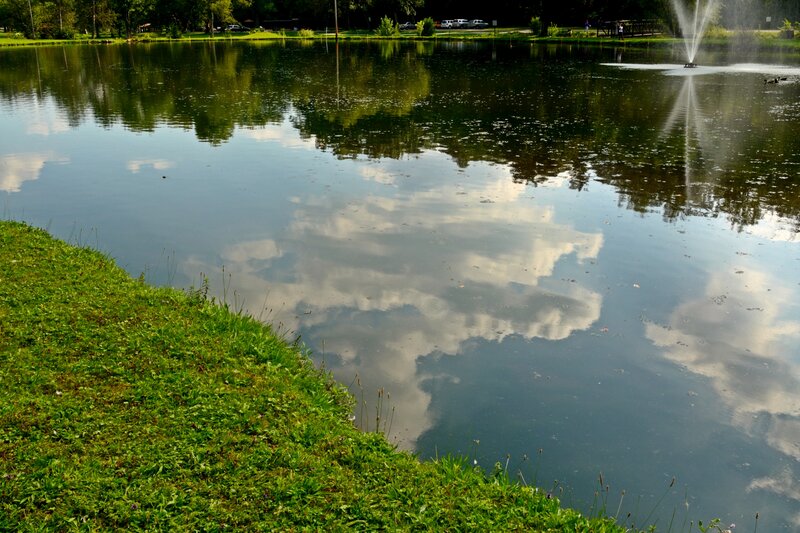 Pond with Fountain — Green, Serene, Afternoon, Photograph, Trees