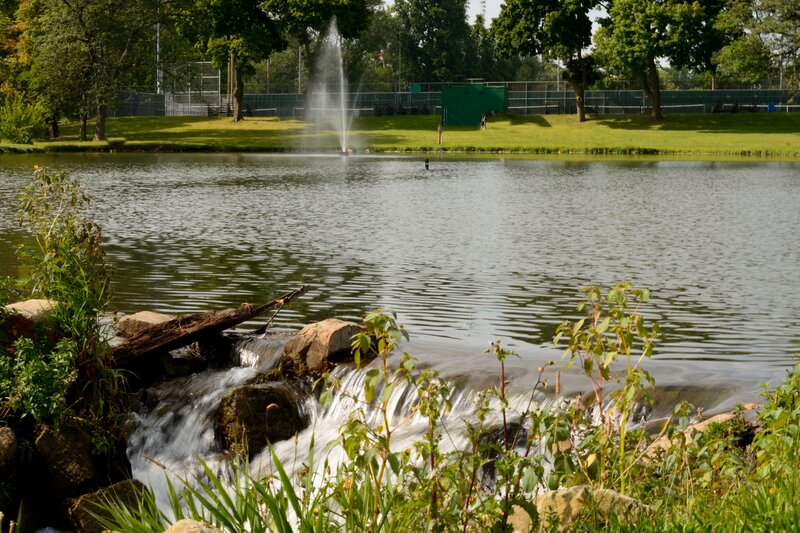 Pond with Fountain — Green, Serene