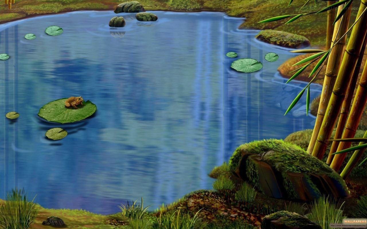 Pond with frog and lily pads