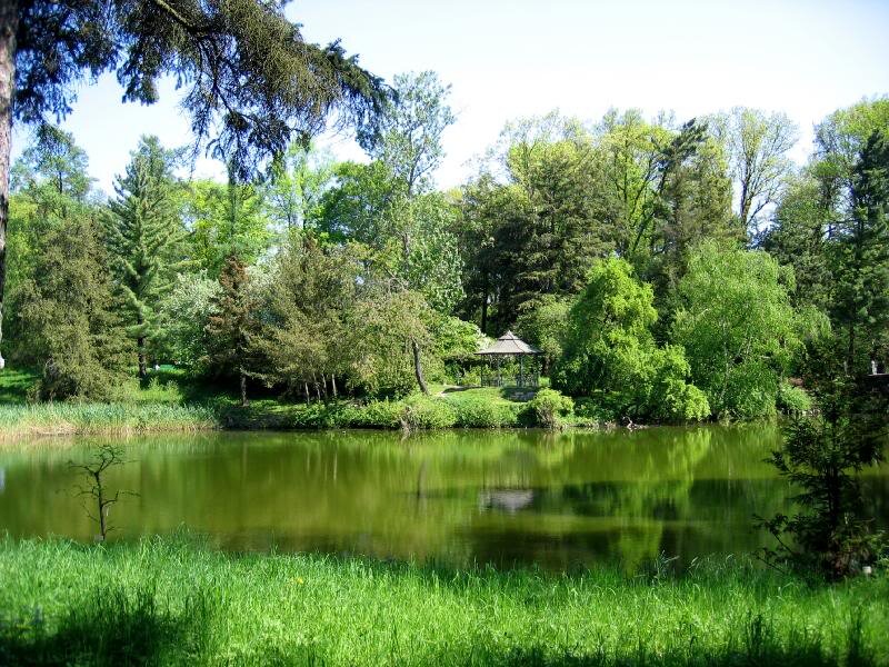 Pond with Gazebo