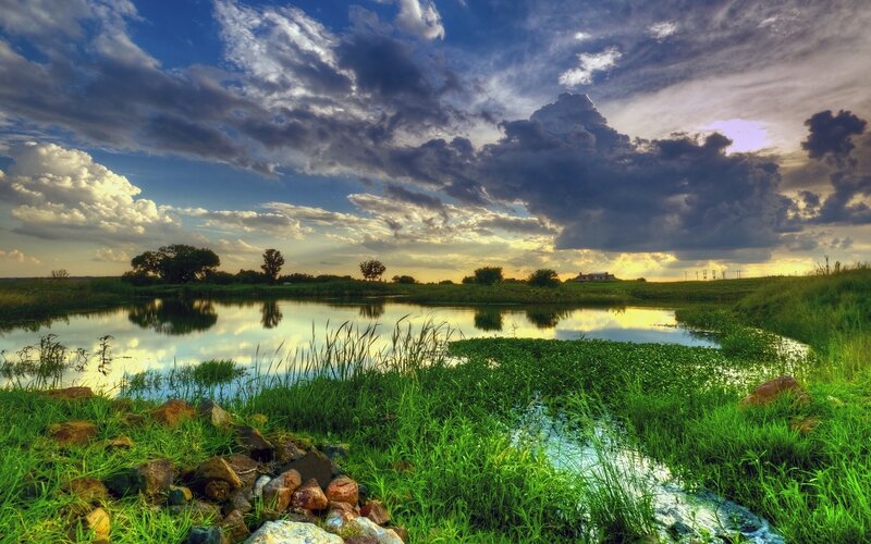 Pond with Green Grass — Dramatic, Sunset, Photograph