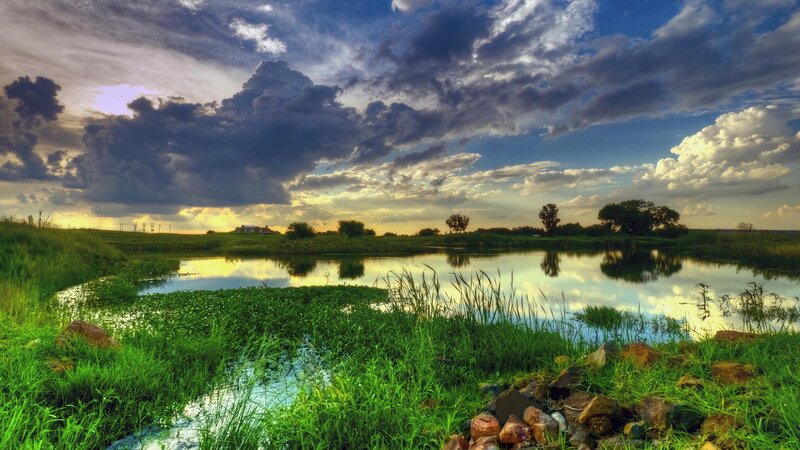 Pond with Green Grass — Dramatic