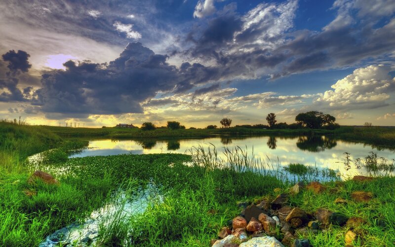 Pond with Green Grass