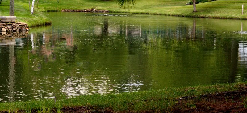 Pond with Green Water