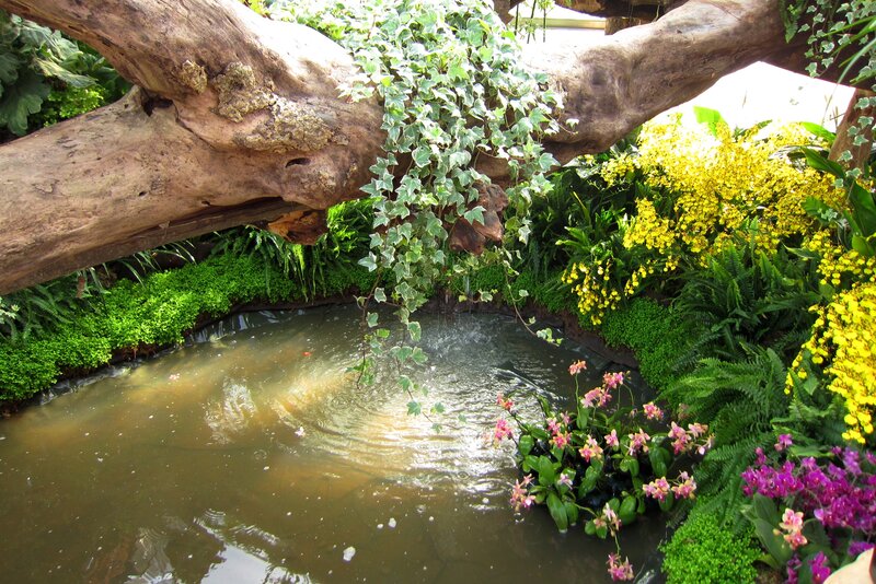 Pond with Hanging Vine