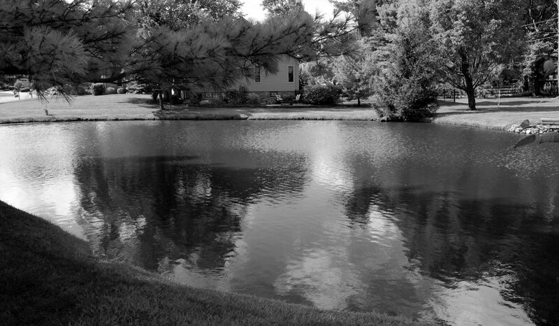 Pond with House Reflection — Black