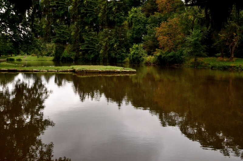 Pond with Island
