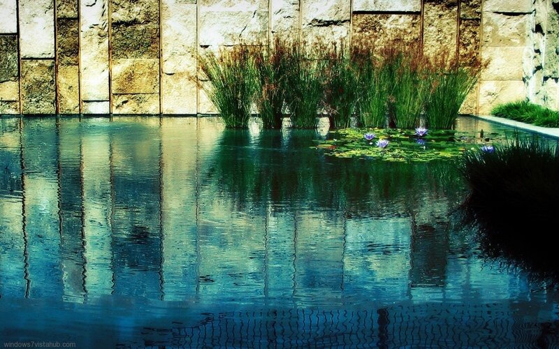 Pond with lily pads and stone wall