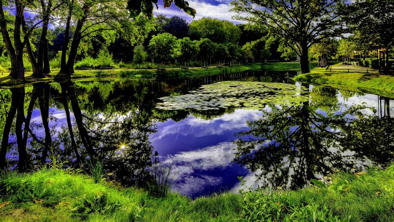 Pond with Lily Pads — Green, Serene, Afternoon, Digital Art, Trees, Grass, Sky