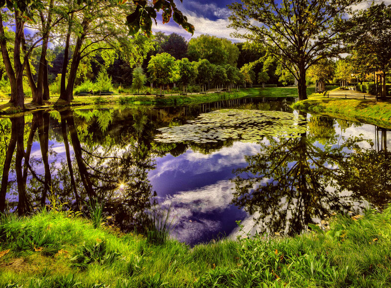 Pond with Lily Pads — Green, Serene, Afternoon, Digital Art, Trees, Grass