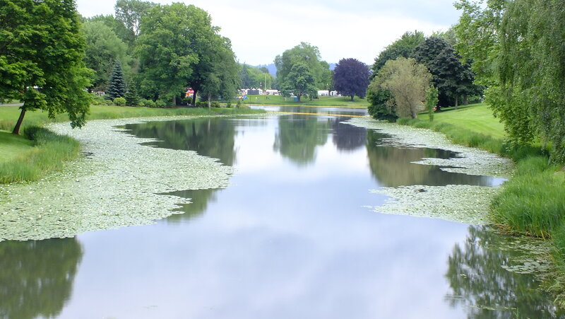 Pond with Lily Pads — Green, Serene, Afternoon, Photograph, Trees, Grass, Sky