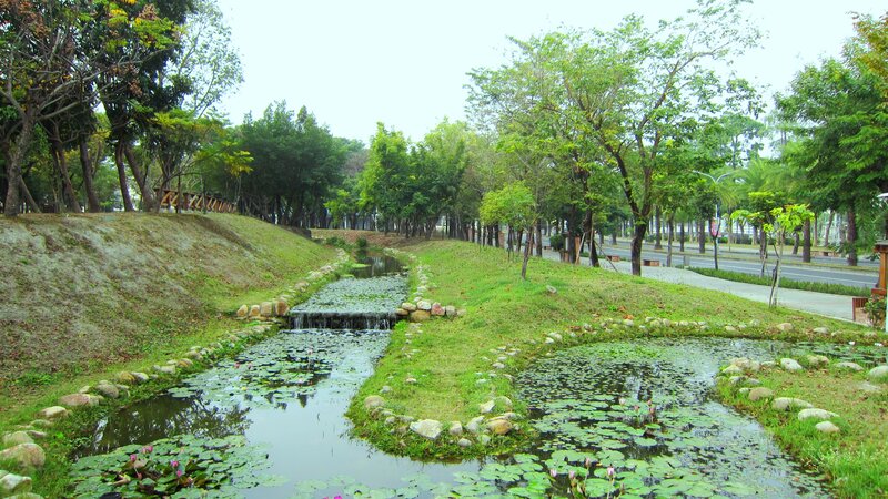 Pond with Lily Pads — Green, Serene, Afternoon, Photograph, Trees, Grass
