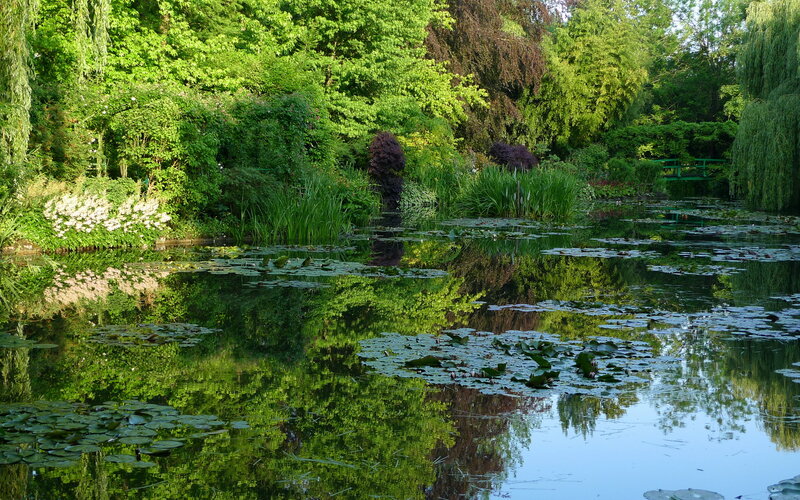 Pond with Lily Pads — Green, Serene, Afternoon, Photograph, Trees, Weeping Willow