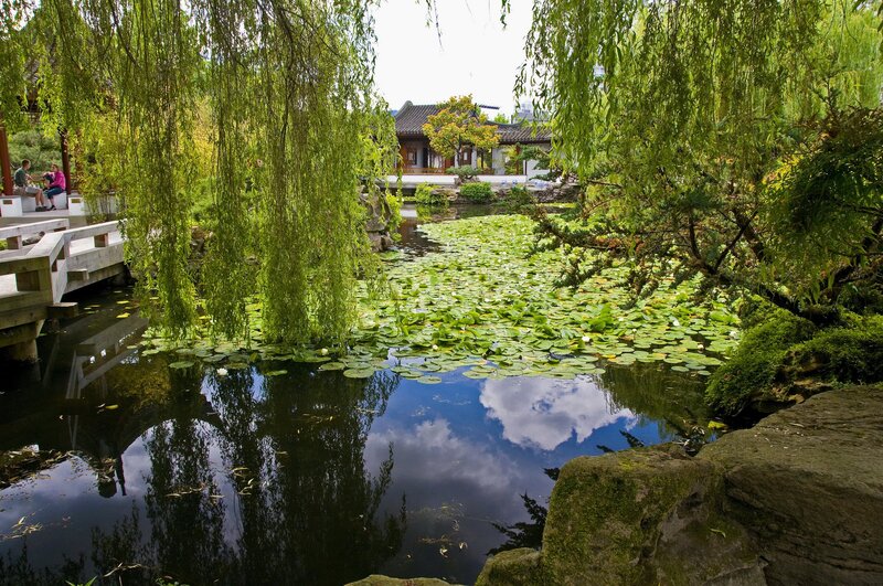 Pond with Lily Pads — Green, Serene, Afternoon, Photograph, Willow Trees, Bridge