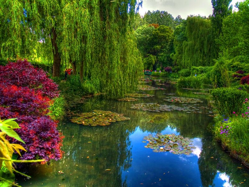 Pond with Lily Pads — Green, Serene, Afternoon, Photograph, Willow Trees