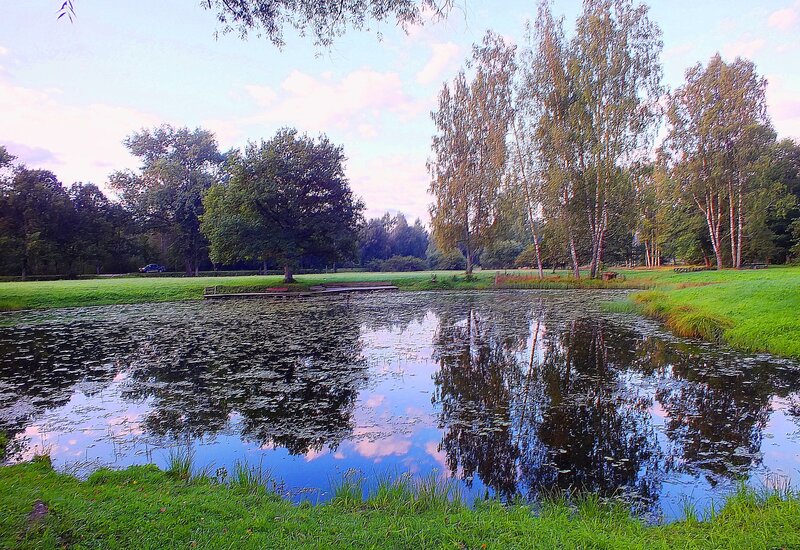 Pond with Lily Pads — Green, Serene, Sunset