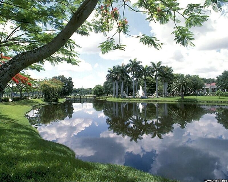 Pond with Palm Trees — Green