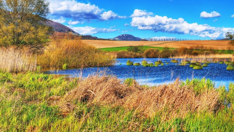 Pond with Reeds and Hills — Blue, Serene