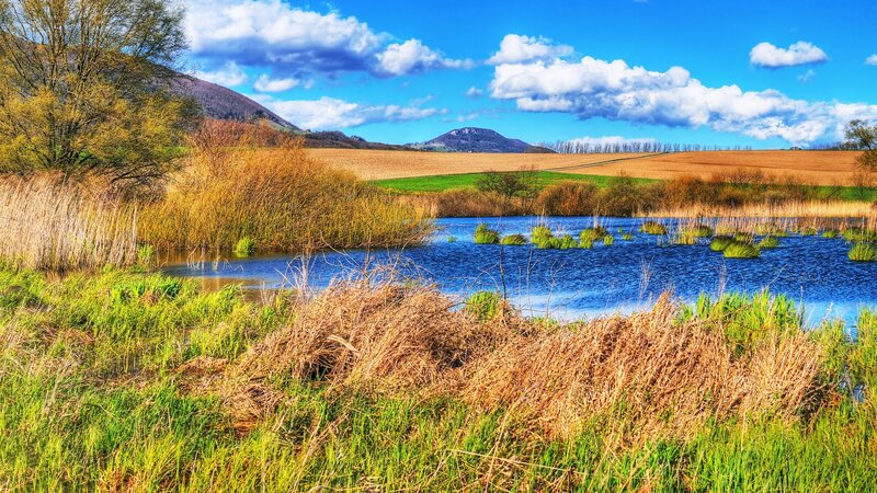 Pond with Reeds and Hills — Blue