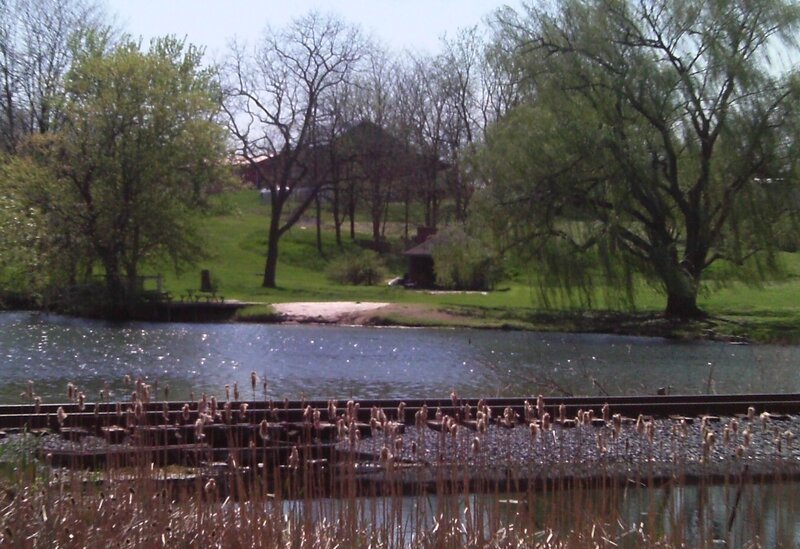 Pond with Reeds and Trees — Green