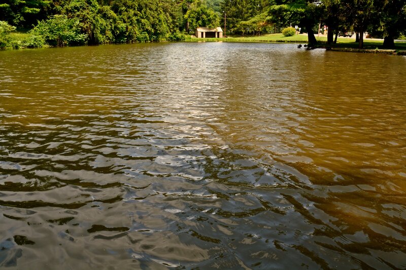Pond with Rippling Water